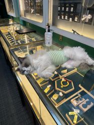 -邵老师打金·黄金加工(大望路总店)