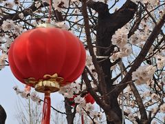 -辛庄国际文化艺术区