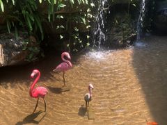 -广州锦绣香江度假别墅