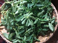 -昆虫窝子·特色云南菜(拓东路总店)