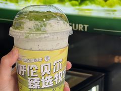 -茉酸奶(春熙路店)