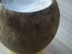 特浓椰子冻-椰爺爺·椰子冻砵仔糕