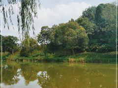 -贡湖湾湿地公园