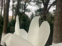 -石湖景区