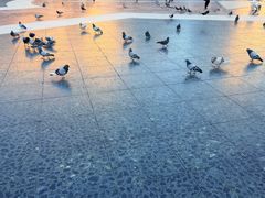 -加泰罗尼亚广场