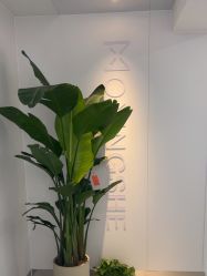 -魔型社烫染店