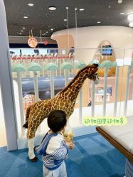 -奈尔宝·儿童乐园·亲子餐厅(鄞州万达店)
