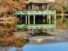 -紫金山天文台