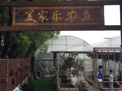 -美家乐农庄·露营·团建(大治路店)