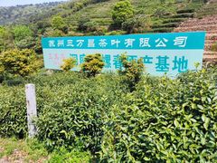 -缥缈峰景区