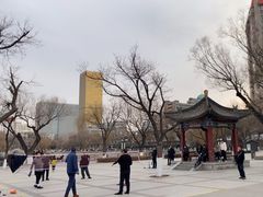 -文瀛公园