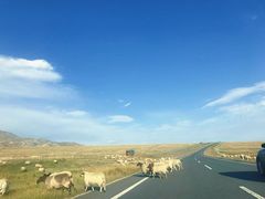 -青海湖国家重点风景名胜区