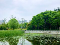 -蠡湖大桥公园