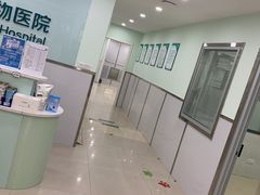 -佳雯宠物医院(金华南路分院)