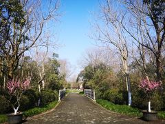 -上海海湾国家森林公园