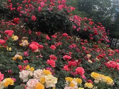 -堤角公园