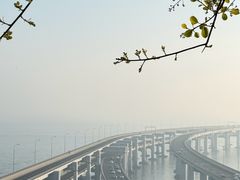 -星海湾跨海大桥