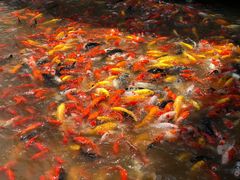 -泰安地下龙宫景区