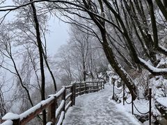 -少华山国家森林公园