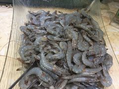 -小科自助海鲜烧肉(高区店)