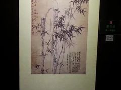 -八大山人梅湖景区