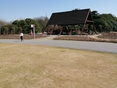 -上海滨江森林公园