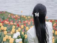 -圩墩遗址公园
