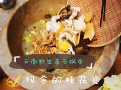 -云南野生菌石锅鱼石锅鸡(大金塔店)