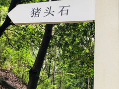 -火炉山森林公园
