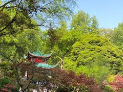 -岳麓山风景名胜区