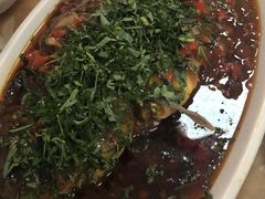 -老字号怡玺·藿香雅鱼(20年雅安店)