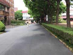-上海财经大学-绿叶食堂