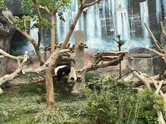 -石排湾郊野公园