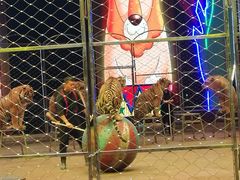 -俄罗斯国家大马戏团