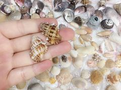 -六鳌翡翠湾滨海度假景区