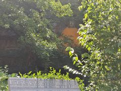 -佛慧山