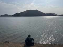 -黄贤森林公园