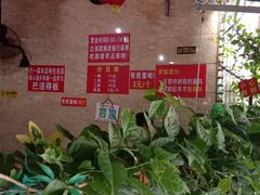 -左撇子私房面