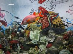 -合肥海洋世界