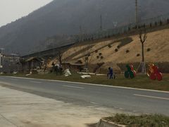 -牛背梁国家森林公园
