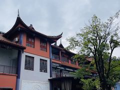 -铁山坪森林公园