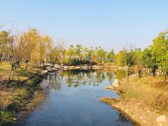 -春花秋色城市公园