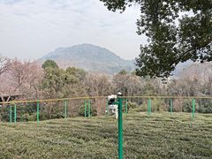 -杭州少年儿童公园