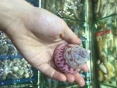 长青路覃记海鲜炒菜烧烤-覃记海鲜美食餐厅