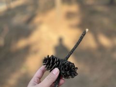 -北京西山国家森林公园