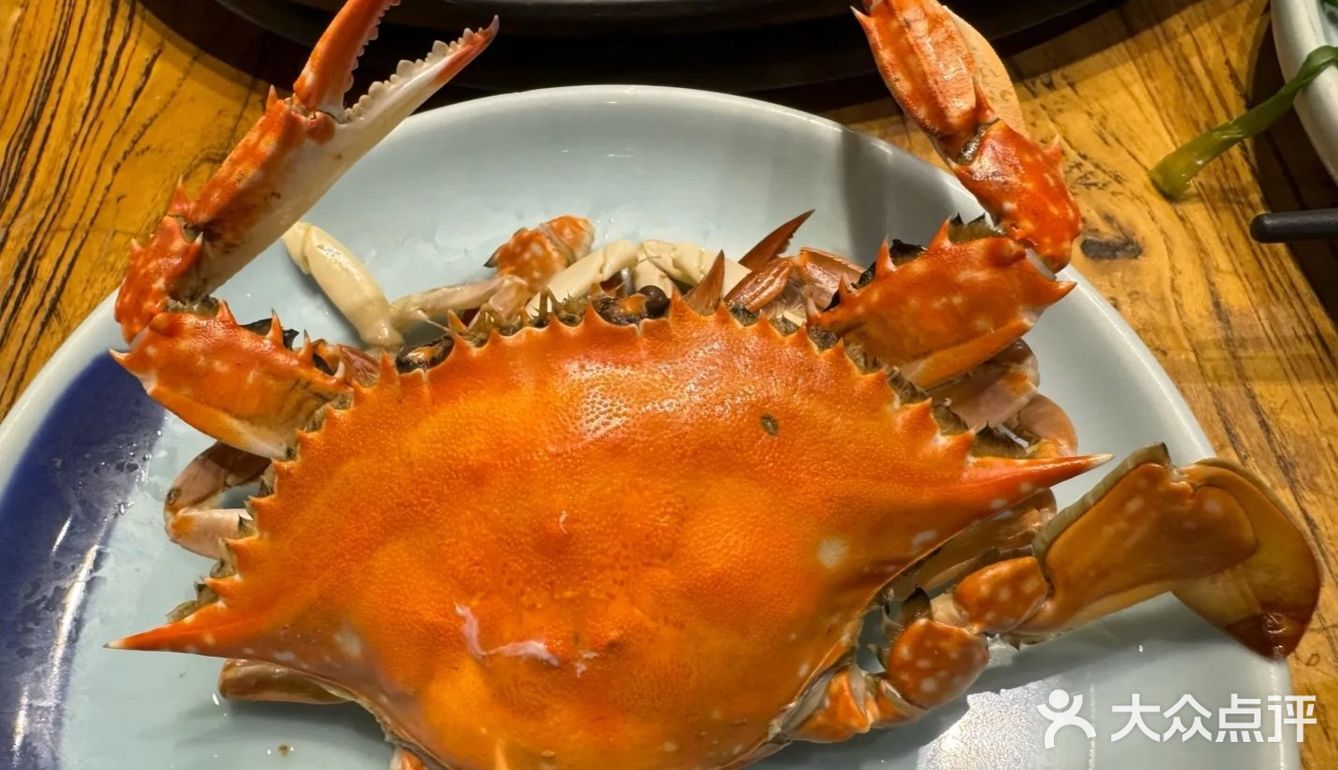 海岸线上的美味邂逅