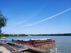 -上海海湾国家森林公园