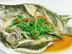 -老三鱼仔店