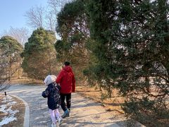 -元大都城垣遗址公园