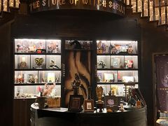 -雪灵魔法世界SHELLY’S TAROT(大良桂畔里店)